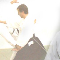 Yoshinkan Aikido Hitting Elbow Throw
